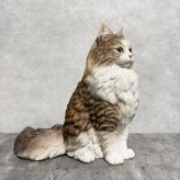 WooBia ウービア 猫 置物 お座りノルウェージャンフォレストキャット マスターズエディション 高さ29.5cm リアル 長毛 ネコ アニマルオブジェ 玄関 リビング インテリア 猫好き 新築祝い 開店祝い 退職祝い プレゼント ギフト