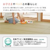 夏ラグ 夏用カーペット 洗える い草風 カーペット 涼風 りょうふう 本間 4.5帖 4.5畳 PP ラグ ござ ビニール風 上敷き 畳の保護 畳替え 国産