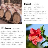 ゴールド ネックレス ハワイアンジュエリー ネックレス イエローゴールド バレル 樽 ハイビスカス 透かし模様 14K K14イエローゴールド 14k カットあずきチェーン太0.9mm ギフトラッピング可能 彼女 妻 女性 レディース プレゼント ハロウィン 【品番：CG-GP106-CH123】