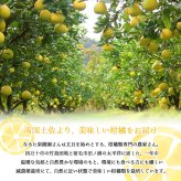 マイヤーレモン グリーンレモン 3kg 栽培期間中 無農薬 高知産 レモン 檸檬 国産 皮ごと食べられる 国産レモン 産地直送 高知県宿毛市 産直 グルメ 出荷時期によりグリーンからイエローに変化します【送料無料】