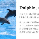 ハワイアンジュエリー シルバー ネックレス ドルフィン イルカ ネックレス ジルコニア ロジウムコーティング シンプル シルバー925 ギフトラッピング可能 チェーン 長さ選べる aumakua メンズ レディース 誕生日 プレゼント ハロウィン 【品番：CG-001-11-03】
