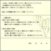 【12月中旬～順次出荷】産地直送 矢切ねぎ (約3.5kg)千葉県松戸市の特産品 葱 長葱 長ネギ 白ねぎ 根深ねぎ 長ねぎ 青ねぎ 葉ねぎ 万能ねぎ 九条ねぎ 下仁田ねぎ あさつき わけぎ リーキ ネギ