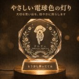 ペット 位牌 クリスタル 写真入り 名入れ ペットメモリアル クリスタル位牌 八角形 犬 猫 うさぎ ペット供養 メモリアルグッズ 写真彫刻 名前 日付 メッセージ 刻印 オーダーメイド 専用ケース付き