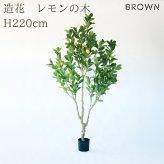 観葉植物 造花 レモンの木 BROWN 全高約220cm 大型 実付き フェイクグリーン 高級 本物そっくり リアル おしゃれ インテリア 人工観葉植物 アーティフィシャルグリーン シンボルツリー オフィス 店舗 カフェ 開店祝い 室内 リビング 玄関 風水 果樹 レモンツリー