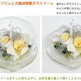 【最後の1点】【プリザーブドフラワー】 ドームグラス　大輪シンピジウムと大輪胡蝶蘭・ガラスドーム　ほこりが付かない ギフト 誕生日　記念日 サプライズ　送料無料