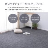 ラグ カーペット 敷き詰め ラウム 本間8帖 8畳 フリーカット ペット 犬 猫 平織 シンプル