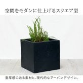 ガーデン マグネシアプランター "TEXTURE" テクスチャー 角型36cm ブ グレーホワイト TEX-360C キューブ型 立方体 正方形 植木鉢 ファイバークレイ プランターカバー ガーデニング 水抜き穴 おしゃれ 北欧 ナチュラル ベランダ