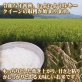 新米 ミルキークイーン お米 米 10kg 送料無料 無洗米 玄米 特別栽培 減農薬 化学肥料最小限 栃木産 2026年産 令和8年産 こめ コメ 産直 限定品 おとりよせ 取寄せ ギフト プレゼント 贈答用 ミルキークィーン 10キロ ご飯 ライス ランキング あす楽 送料込み お祝い 内祝