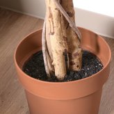 ガーデン エクステリア 観葉植物 フィカス １１２４ Ａ フェイクグリーン 植物 緑 グリーン 癒し 植木 インテリア ガーデニング おしゃれ カフェ リビング プランター ギフト プレゼント 贈り物 オフィス 会社 枯れない 簡単 手入れ 人気 樹木
