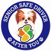 カーサイン 高齢者マーク SENIOR SAFE DRIVER ファレーヌ マグネット 強力 直径13cm 肉球 日本製 車 ステッカー