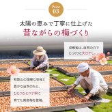 梅干し 紀州南高梅 つぶれ梅 1.7kg 850g×2パック 塩分約3% 減塩 はちみつ梅 蜂蜜 大粒 3L 4L 訳あり 紀州 和歌山県産 お徳用 果肉たっぷり ご飯のお供 ギフト