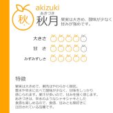 予約販売 訳あり 梨 千葉県市川産 いちかわの梨 3kg 幸水 豊水 秋月 B級品 自宅用 家庭用 和梨 なし フルーツ 果物 旬の味覚 お取り寄せ グルメ お盆 暑中見舞い 残暑見舞い
