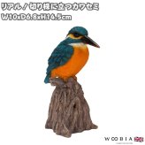 置物 鳥 カワセミ 高さ14.5cm woobia ウービア 野鳥 リアル おしゃれ 玄関 インテリア オブジェ ガーデン 北欧 ナチュラル 翡翠 動物 アニマル 癒し 小鳥 鳥好き 出窓 棚 青い鳥 玄関飾り プレゼント ギフト バードウォッチング