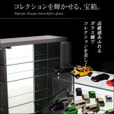 収納家具 ラック コレクション -Luke-ルーク 専用ミラー2枚セット ハイタイプ用/深型・浅型共通 CLR-485M--TU ホワイト 幅44×高80×厚0.3cm ホームテイスト コレクションケース ディスプレイケース ガラスケース ショーケース