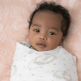 おくるみ スワドル 2枚セット 出産祝い aden+anais エイデンアンドアネイ ブラッシングバニーズ コットンモスリン ダブルガーゼ 大判 約112cm 新生児 退院 内祝い 出産内祝い 女の子 ギフト 専用ボックス入り ガーゼケット ブランケット 授乳ケープ おむつ替えシート 双子