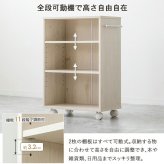ラック 押入れ収納 奥行45cm 選べる幅3サイズ (19/25/38cm) IW-24 クローゼット収納 リビング収納 すき間収納 サニタリー収納 新生活