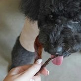 ロクバ ROKUBA カリカリジャーキー 馬 国産 犬用おやつ 77g