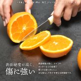 CERABILL カウンターテーブル幅120 CETB0275 セラミックテーブル 新生活