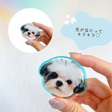 お好きなお写真で作れる♪オリジナル オーロラ スマホグリップ 愛犬 愛犬グッズ オリジナルグッズ うちの子 うちの子グッズ iphoneケース スマホケース オーダーメイド ペットグッズ スマホアクセサリー 犬用品 わんちゃんグッズ ギフト 虹の子  父の日 母の日 ぷくぷく