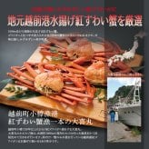 越前港水揚げ 紅ずわいがにグラタン4個セット【冷凍便】蟹の配分割合4割!! 旨味濃厚な蟹グラタン 美味しい贈物 敬老の日 お歳暮 ギフト