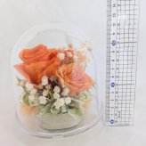 プリザーブドフラワー／オレンジの大輪の薔薇と小花のクリアドームギフト