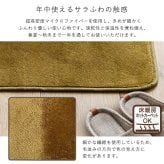 ラグ カーペット 洗える玄関マット 45×90cm 【ヴィタム-Witam-】