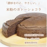 米粉で作ったガトーショコラ 18cmホール（小麦粉・卵・乳製品・動物性食品不使用）ケーキ ギフト