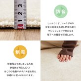 ラグ カーペット 国産高機能 ララ 約130×190cm 防ダニ 抗菌 防臭 防音 防炎 制電 日本製 ナイロン 無地