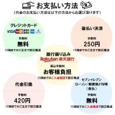 ZIPPO 守護龍 ライター 龍 大型メタル貼りドラゴン ジッポ クロームイブシバレル 和柄 竜 アンティーシルバー 日本 縁起物 おしゃれ かっこいい 銀 メンズ 渋い ギフト 龍彫刻 プレゼント