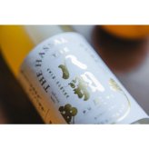 THE 八朔 生（PURE）｜果汁純度100％ストレートジュース 500ml