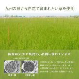 置き畳 半畳 国産 い草 簡単 和室 約82×82cm 9枚組