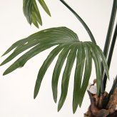 観葉植物 造花 シュロチク BROWN 全高約180cm 大型 フェイクグリーン 高級 本物そっくり リアル おしゃれ 和風 和モダン インテリア 人工観葉植物 アーティフィシャルグリーン オフィス 店舗 ホテル 旅館 開店祝い 室内 リビング 玄関 風水 棕櫚竹