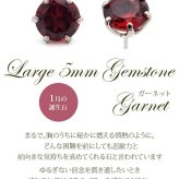 つけっぱなし ピアス プラチナ 900 ガーネット 5mm 天然石 誕生石 日本製 【品質保証書つき】 セカンドピアス メンズ レディース 1個ずつバラ売り プレゼント