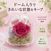 敬老の日 プレゼント プリザーブドフラワー ミニ ドーム バラ ジニア 小 おしゃれ かわいい ピンク イエロー 枯れない花贈答  プレゼント お祝い 誕生日 結婚記念日 母の日 父の日 敬老の日 プチギフト 卒業 退職 送別 入園 コンパクト インテリア お花とハンカチセット