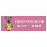 カーサイン 高齢者マーク SENIOR SAFE DRIVER ユークレニアンレフコイ ステッカー シール 長方形 20x6.7cm 肉球 日本製 車