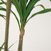 観葉植物 造花 ユッカ BROWN 全高約210cm 大型 フェイクグリーン 高級 本物そっくり リアル おしゃれ スタイリッシュ インテリア 人工観葉植物 アーティフィシャルグリーン モダン オフィス 店舗 ホテル 開店祝い 室内 リビング 玄関 風水 青年の木