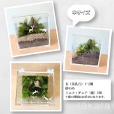 苔テラリウム制作キット コケテラリウム おしゃれ 贈り物 コケインテリア 母の日ギフト 手作りキット 創作キット 苔インテリア 苔リウム コケリウム 作成キット お誕生日 おうち時間 ステイホーム 敬老の日 ワークショップ 父の日 イベント【アクリルケース＆鹿】