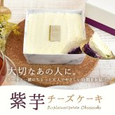 ＼早割！／ クリスマスケーキ クリスマスプレゼント 予約 2026 紫芋 チーズケーキ 取り寄せ ケーキ 冷凍 チーズ レアチーズケーキ チーズタルト タルトケーキ お取り寄せ ホール 紫芋 冷凍 1人 2人 3人 スイーツ お菓子 洋菓子 可愛い かわいい おしゃれ おいもや