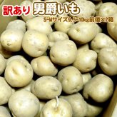 じゃがいも 訳あり北海道 じゃがいも 男爵いも S-Mサイズ 9.5-10kg前後×2箱 送料無料 ※沖縄は送料別途加算