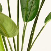 観葉植物 造花 カンナ BROWN 全高約195cm 大型 フェイクグリーン 高級 本物そっくり リアル おしゃれ インテリア 人工観葉植物 アーティフィシャルグリーン 南国 リゾート オフィス 店舗 ホテル 開店祝い 室内 リビング 玄関 風水 フェイク