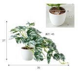 【高さ27cm】光触媒人工観葉植物 モンステラ 幅35cm×奥行45cm×高さ27cm コンパクト 天然木 お部屋に気軽に飾れて空間を美しく彩るフェイクグリーン 本物の植物のようなリアルな質感とインテリアに馴染む風合いが魅力です