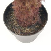 観葉植物 造花 ディクソニア BROWN 全高約183cm 大型 フェイクグリーン 高級 本物そっくり リアル おしゃれ 珍しい インテリア 人工観葉植物 アーティフィシャルグリーン オフィス 店舗 ホテル 開店祝い 室内 リビング 玄関 風水 木性シダ