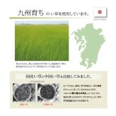 枕 まくら い草枕 消臭 ピロー 国産 無地 ベビー キッズ 『さわやか 平枕』 約30×20cm お子様にも安心 国産い草枕 さわやか平枕 抗菌 防臭 ポリエステル 綿 枕寝具 寝具用品 寝室用 寝室用品 インテリア 綿100% 肌触り 柔らか 吸湿
