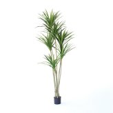 観葉植物 造花 ユッカ BROWN 全高約210cm 大型 フェイクグリーン 高級 本物そっくり リアル おしゃれ スタイリッシュ インテリア 人工観葉植物 アーティフィシャルグリーン モダン オフィス 店舗 ホテル 開店祝い 室内 リビング 玄関 風水 青年の木