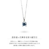 アクアマリン ネックレスプラチナ ネックレス 3月誕生石 一粒 PT950 プラチナ950 白金 チェーン 長さ選べる 40cm 45cm 50cm ギフトラッピング可能 シンプル 華奢 上品 Rapture 彼女 妻 女性 レディース 誕生日 プレゼント ハロウィン 【品番：CG-RSP-29051PT-3】