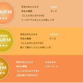 掛け布団 羽毛布団 ダウン90% フェザー10% 1.0kg 日本製 オールシーズン 抗菌 防臭 防ダニ ホワイト グースダウン 立体キルト 羽毛掛け布団 掛け布団 掛布団 かけ布団 羽毛ふとん 羽毛 布団 スリーピュア 安心の抗菌加工 抗菌防臭 綿