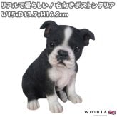 置物 woobia ウービア 犬 ボステリ 右向きボストンテリア 黒白 高さ16.2cm 子犬 タキシード犬 リアル 本物そっくり イギリス生まれ 職人手彩色 縁起物 戌年 玄関 インテリア 新築祝い 引っ越し祝い 開店祝い 出産祝い 誕生日 お祝い ギフト プレゼント 犬好き ボストンテリア好き