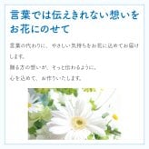 【ペットのお悔やみ】【 選べる5色】【Mサイズ】【クール便】【送料込み】フラワーアレンジメント おまかせ制作 最短翌日お届け  日時指定可 | ペット お供え 犬 猫 お悔やみ 虹の橋 ペット供養 お供え花 お悔やみ花 供花 四十九日 命日に贈るフラワーアレンジメント