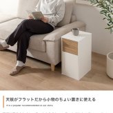 ダストボックス　１５Ｌ　ゴミ箱　１５～２０Ｌゴミ袋対応　ダストボックス　２０Ｌ　リットル　ｌ　分別　キッチン　ダイニング　小型