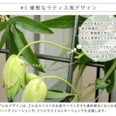 アイアンフェンス アイアン製グリーン グラフ 2枚組 フェンス アイアン グリーン ゴーヤ 薔薇 バラ 朝顔 庭 ベランダ ガーデニング 枠 柵 仕切り 目隠し 境目 アンティーク トレリス 園芸 ラティス 屋外 ガーデンフェンス 目隠しフェンス 庭用品 新生活